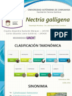 Nectria Galligena - Fitopatología