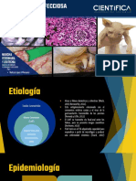 Pif - Fisiopatologia