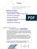 FluidosDinamica2010.pdf