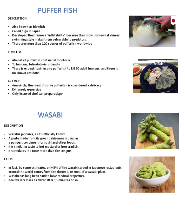 Project Adv | PDF