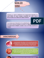 Quemaduras en La Mucosa