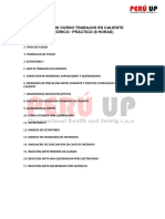 Temario Curso de Trabajos en Caleinte PDF