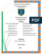 proyecto mentes.docx