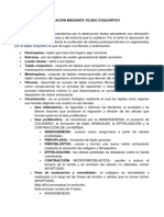 4-Reparación Mediante Tejido Conjuntivo