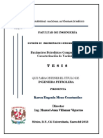 Tesis (1).pdf