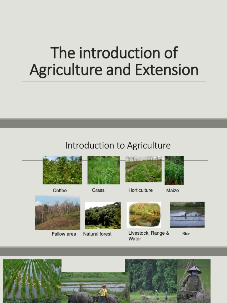 The introduction of Agriculture and Extension.pdf Top Down And Bottom