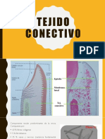 Tejido Conectivo