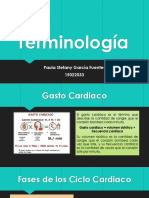 Terminologia .pptx