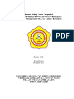 Resume Askep Gadar Urogenital Jurnal "An Evidence-Based Approach To Emergency Department Management of Acute Urinary Retention"