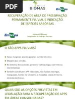 AULA 22_MODELOS RECUPERACAO FLUVIAL.pdf