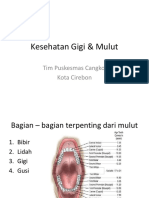 Kesehatan Gigi & Mulut