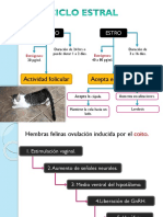 Fisio de la repro.pptx