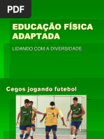 Introdução a Efa-lidando Com a Diversidade