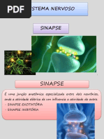 SISTEMANERVOSOPARTE2sinapse.pdf