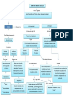 Mapa Conceptual Etnografia