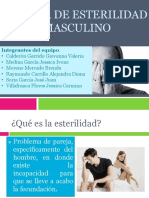 Factor de Esterilidad Masculino