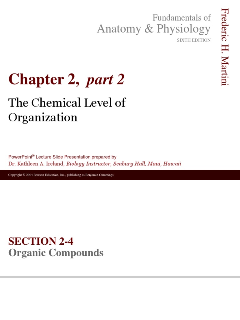 Anatomy & Physiology: Chapter 2, Part 2 | PDF | Nucleotides | Proteins
