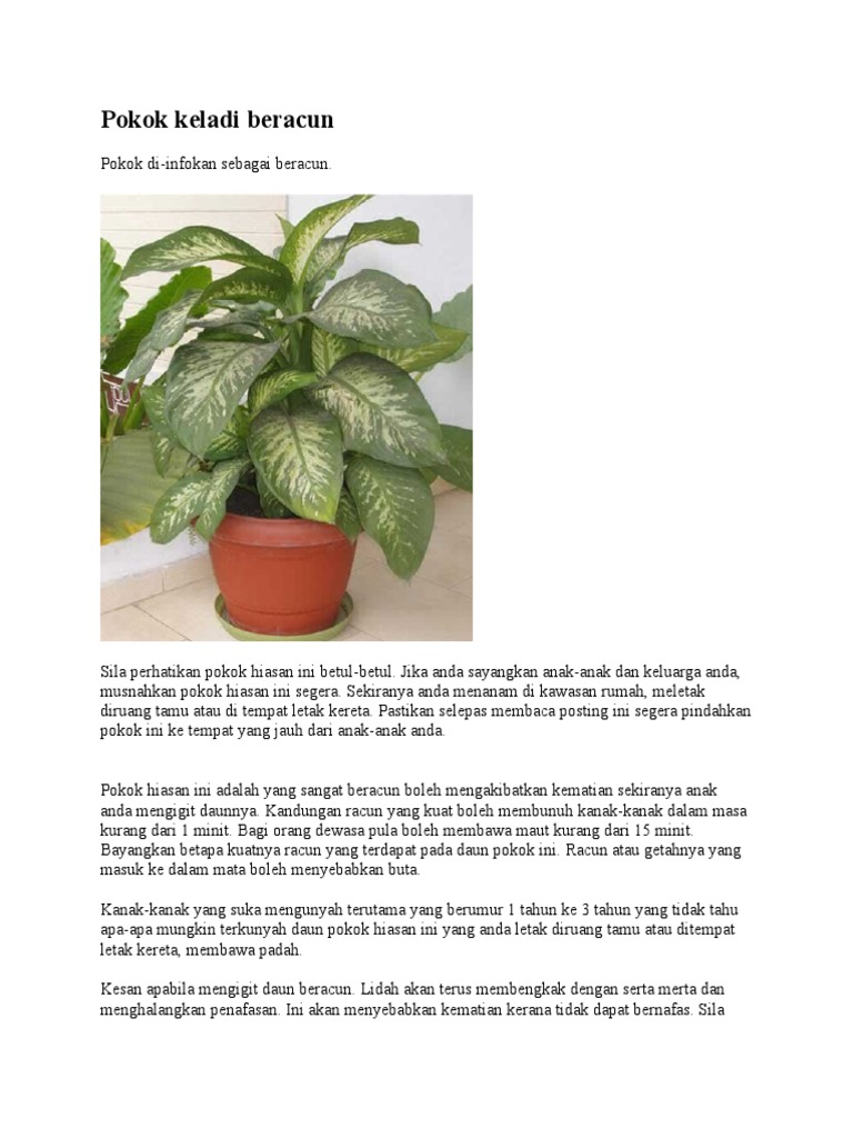 Pokok Keladi Beracun Pdf