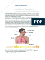 00 Condiciones Riesgo Aparato Respiratorio