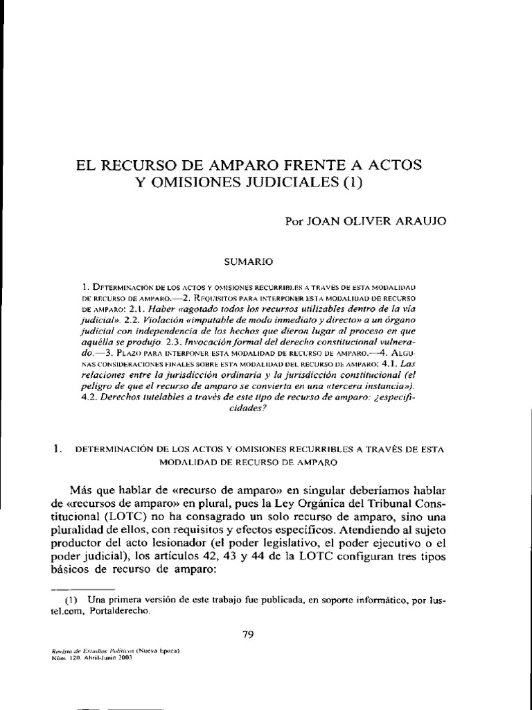El Recurso de Amparo Frente A Actos Y OmisionesJudiciales | PDF ...
