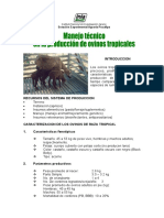 Manejo Técnico en La Produccion de Ovinos Tropicales