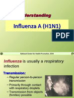 AH1N1 Basic Facts