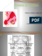 Anatomia Del Utero
