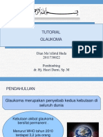 Glaukoma - Dian.pptx