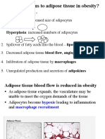 Obesity2 Adipose Tissue Biology Adipokines_F17.pdf