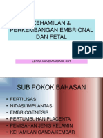 Kehamilan & Perkembangan Embrional Dan Fetal: Lenna Maydianasari, SST