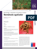 Ficha 06 Nematodo Agallador PDF