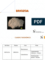 Briozoa