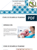 Etapas de Desarrollo Pulmonar