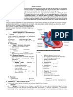 IV BIM - 5to. Año - Bio - Guía 2 - Sangre y Aparato Cardiova