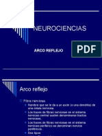 NEUROCIENCIAS Arco Reflejo