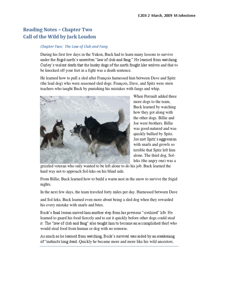 Call of the Wild Notes Chapter Two2 The Call Of The Wild