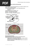 Self Prostate Massage Technique 1 | PDF | Prostate | Semen