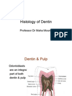 Histology of Dentin