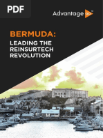 Bermuda - Leading the ReinsurTech Revolution