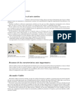 arte-optico-y-cinetico.pdf