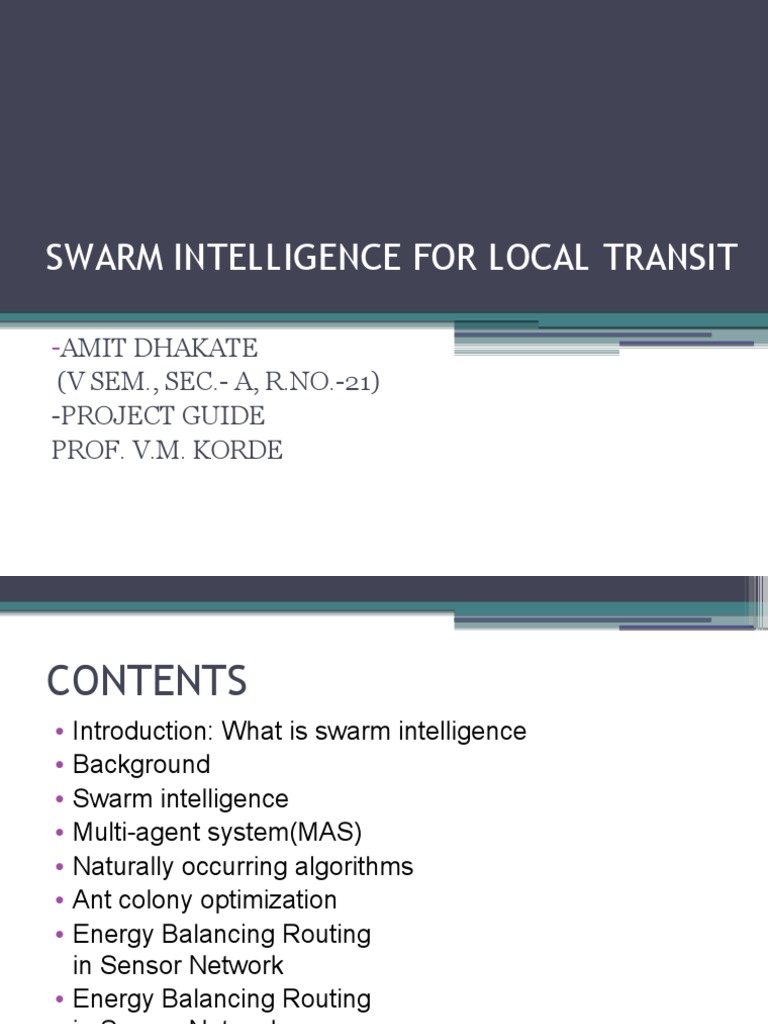 Swarm Intelligence in Transit Systems | PDF | Mathematical Optimization ...