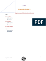 Chapitre 2 Les Différentes Classes de Dents