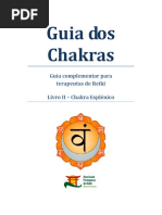 Guia Dos Chakras - Chakra Esplenico