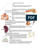 Partes Del Sistema Inmunologico