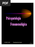 Fenomenologia Psicopatologica 