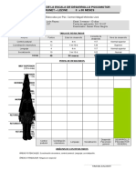 307393679-Protocolo-e-Informe-Brunet-Lezine.pdf
