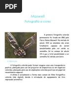 Maxwell e a Fotografia a Cores