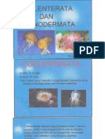 Coelenterata & Echinodermata.pdf