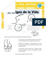 Ficha El Origen de La Vida para Sexto de Primaria