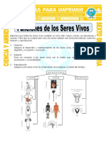 Ficha Funciones de Los Seres Vivos para Sexto de Primaria